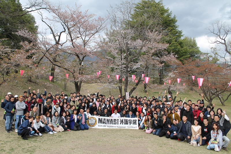 April 11, Wednesday. Cherry-blossom viewing (Hanami)