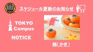 東京校予定更新のお知らせ(2020/11/9-11/13)